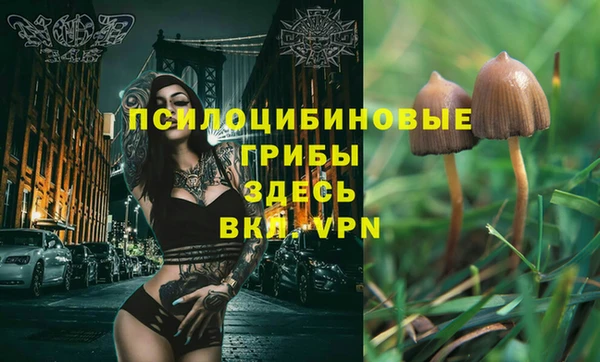каннабис Алексеевка
