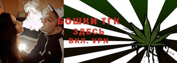тгк Алексин