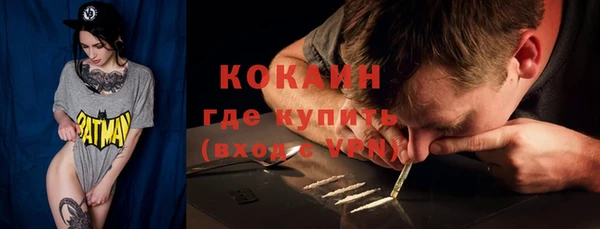 тгк Алексин